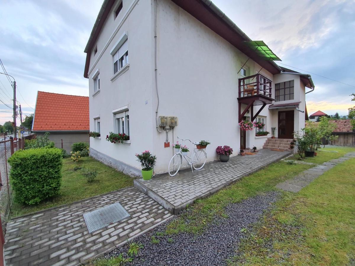 Casa De Oaspeti Anna Sovata Exterior foto